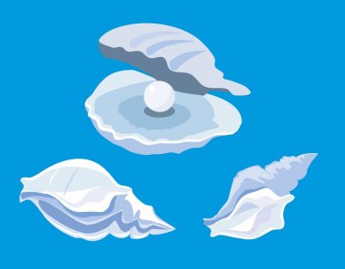 Kabuk inci illüstrasyon