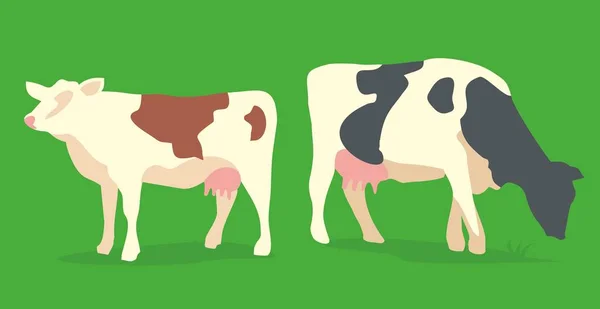 Αγελάδα σε πράσινο φόντο. Επίπεδη εικονογράφηση διάνυσμα. — Διανυσματικό Αρχείο