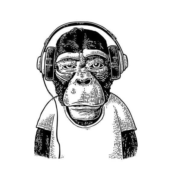 Macaco vestido t-shirt ouvir fones de ouvido. Gravura preta vintage — Vetor de Stock