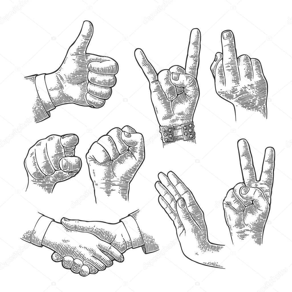 Male and female Hand sign. Fist, Like,pointing, fig, Rock Roll.