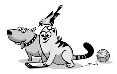 Kuş, kedi ve köpek seyir telefon.