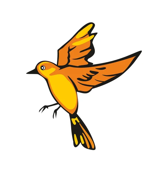 Oriole dourado isolado sobre fundo branco. Um pássaro voador. Ilustração plana vetorial —  Vetores de Stock
