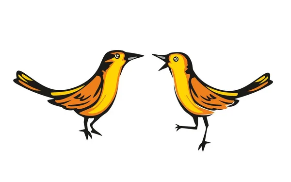 Oriole dourado isolado sobre fundo branco. Dois pássaros sentados. Ilustração plana vetorial —  Vetores de Stock