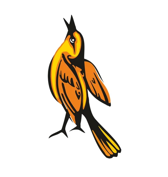 Oriole dourado isolado sobre fundo branco. Um pássaro sentado a olhar para cima. Ilustração plana vetorial —  Vetores de Stock