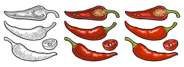 Chilli entero, mitad y rebanada. Grabado vectorial vintage — Archivo Imágenes Vectoriales