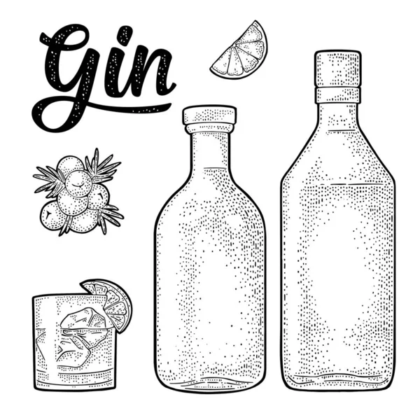 Glass and bottle of gin and branch Juniper. Vintage engraving — Stock Vector