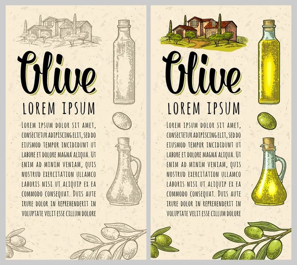 Plantilla vertical para menú, póster, etiqueta aceite de oliva. Grabado vectorial — Vector de stock