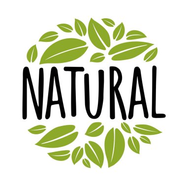 Yapraklı doğal el yazısı. Vektör illüstrasyonu beyazda izole edildi