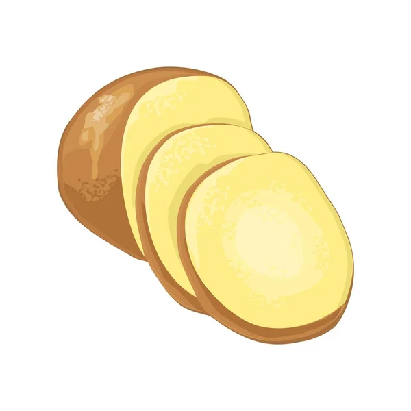 Potato root slice. Vector flat color illustration. Isolated on white — 스톡 벡터