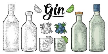 Glass and bottle gin and branch juniper. Vintage vector color engraving clipart
