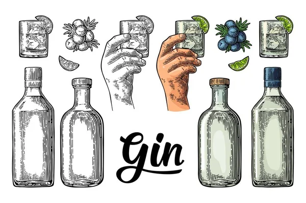 Gin de vidrio y botella y enebro de rama. Vintage vector de color grabado — Vector de stock