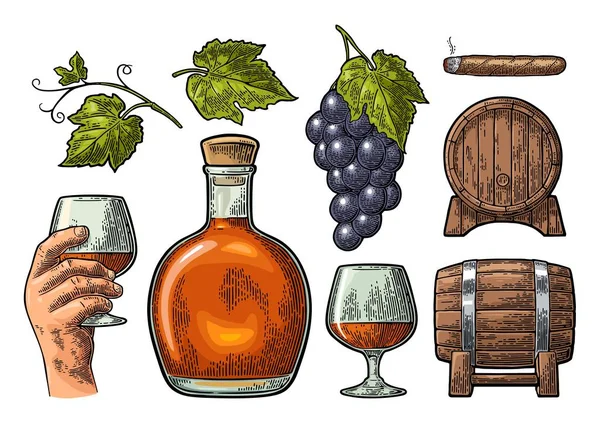 Bicchiere, botte e bottiglia di cognac. Illustrazione incisione vintage — Vettoriale Stock