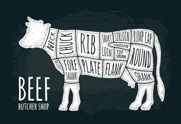 Cortes de carne de vaca. Carne de buey con letras de escritura. Grabado vectorial Vintage — Archivo Imágenes Vectoriales