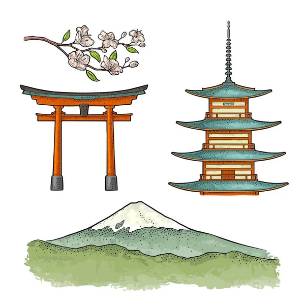 Mountain Fuji Japan Pagoda Torii Cherry Sakura Branch Flowers Blossom — Stock Vector