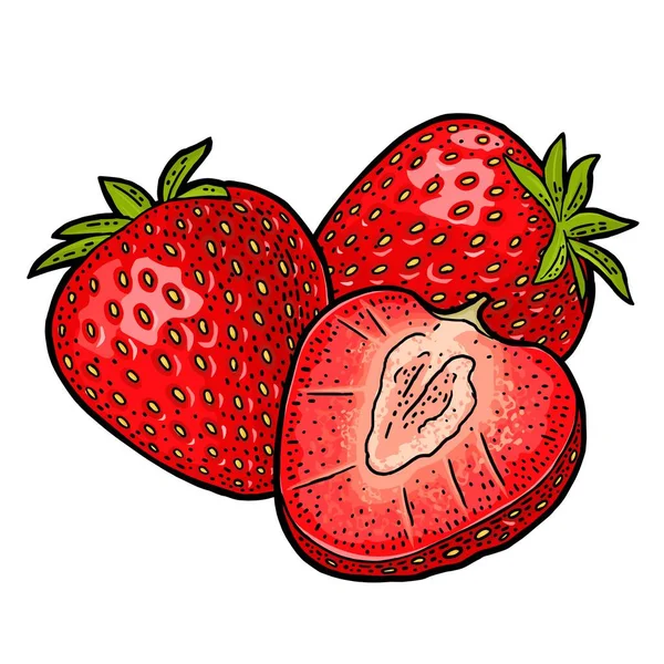 Fraise entière et tranchée. Illustration plate couleur vectorielle — Image vectorielle