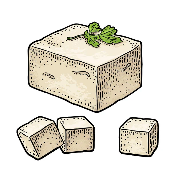 Tofu. Vector cor vintage gravada ilustração isolada no fundo branco. — Vetor de Stock