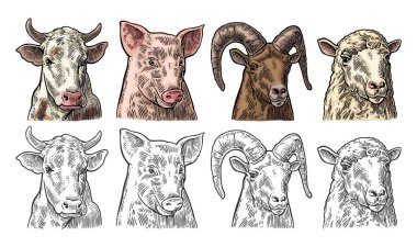 Çiftlik hayvanları ikonu seti. Domuz, inek, koyun ve keçi kafası