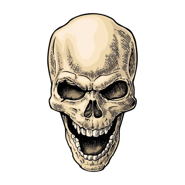 Calavera humana con una sonrisa. Grabado vintage vector ilustración de color. — Vector de stock