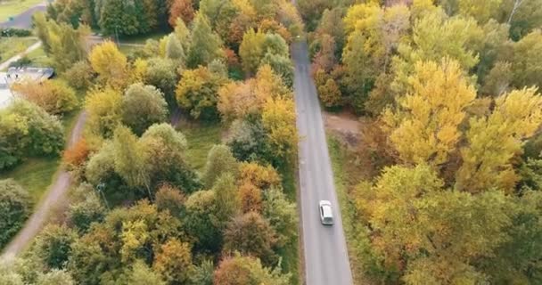 Вид с воздуха. Летающие над дорогой, полем и красивыми осенними деревьями . — стоковое видео