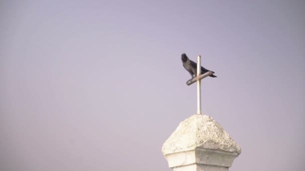 Чёрный ворон сидит на кресте — стоковое видео