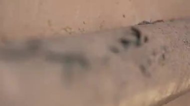 yakın çekim eski boya. kırık boya. eski bir katman boya.