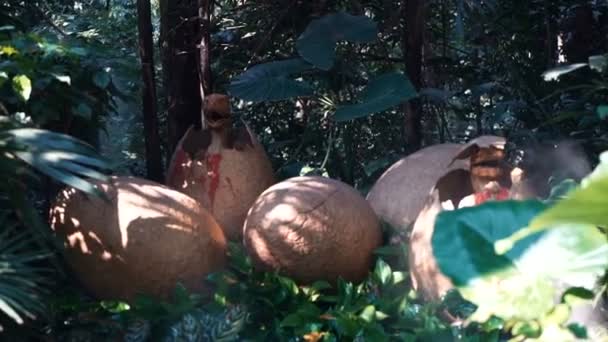 Geboren dinosaurus in de natuur — Stockvideo