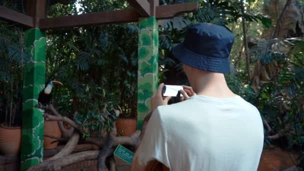 Hombre toma fotos de las aves, en el zoológico — Vídeos de Stock