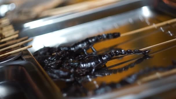 Вулична їжа стійка продажу смажених шашликів скорпіона . — стокове відео