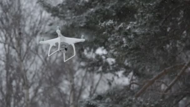 Drone Latający w śniegu przed lasu — Wideo stockowe