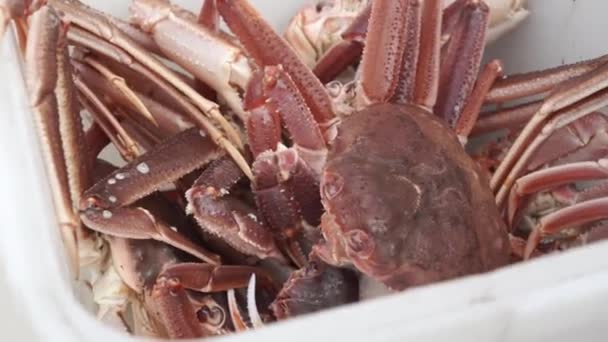 Close-up de caranguejos rei vermelho fresco pego no barco de pesca, Full HD tiro — Vídeo de Stock
