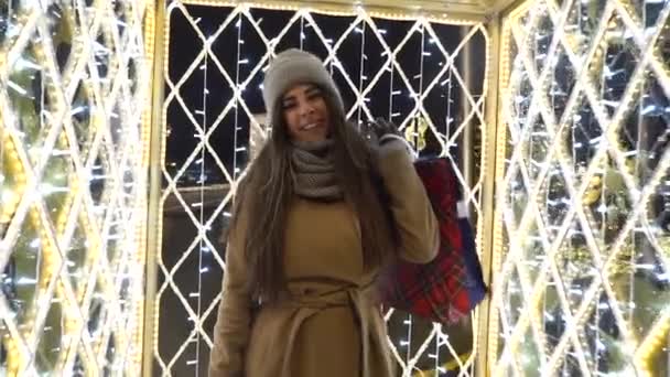 Weihnachten Einkaufstasche Weihnachten Hintergrund Weihnachtslicht. Frau genießt europäischen Weihnachtsmarkt mit Einkaufstüten. Einkaufen Mädchen stading Winter Stadt Straße, Weihnachtsgeschenke, frohes neues Jahr — Stockvideo