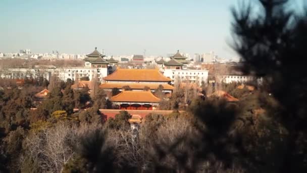Zakazane miasto w Pekinie oglądane z Jinshan Park w zimie 2020 — Wideo stockowe