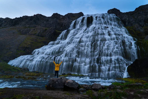 Młody turysta w żółtej kurtce stoi naprzeciwko Dynjandi lub Fjallfoss, dużego i potężnego kaskady wodospadu w zachodnich fiordach islandzkiej dziczy w ciągu dnia. Wodospady, podróże i — Zdjęcie stockowe