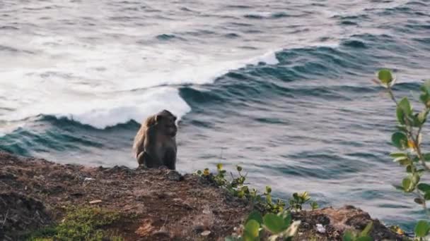 Vista sobre as grandes ondas do oceano no Templo Uluwatu, Pura Luhur Uluwatu, na ilha de Bali, Indonésia — Vídeo de Stock