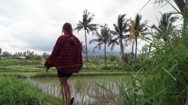 논을 산책하며 즐거운 휴가를 보내고 있는 행복 한 여자가 발리 인노 네 시아를 통해 이국적 인 문화 풍경을 여행하고 있다 — 비디오