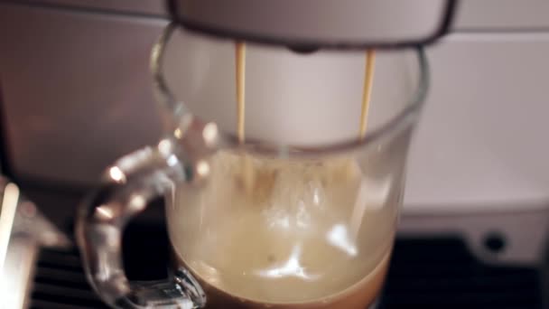 Het gieten van koffie stroom van professionele machine in beker. Barista maakt dubbele espresso of amerikaanse lungo. Frisse gemalen koffie. Drinken geroosterde zwarte koffie in de ochtend. — Stockvideo