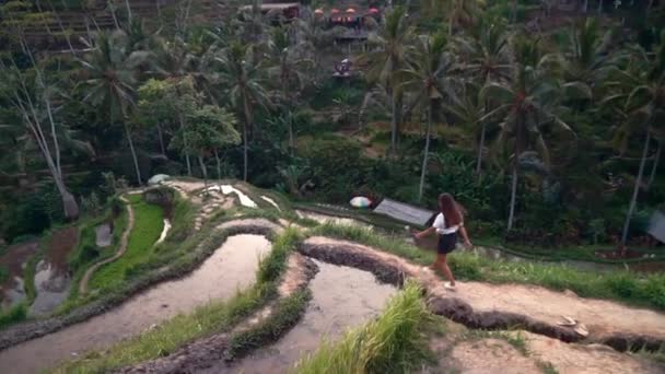 Mujer de viaje en el campo de arroz explorar exuberante terraza de arroz verde caminar en el paisaje cultural vacaciones exóticas a través de bali indonesia descubrir asia — Vídeos de Stock