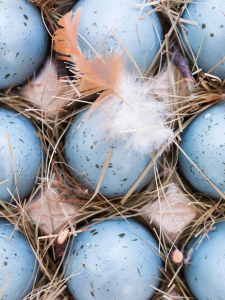 Easter blue eggs — Stock Photo, Image