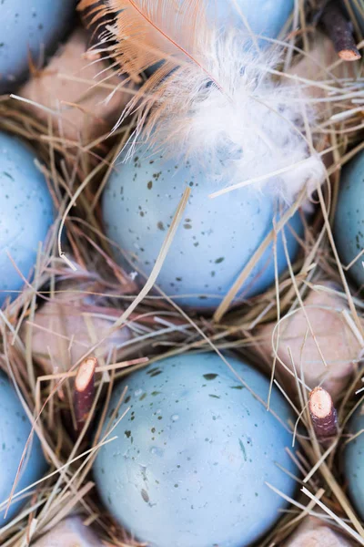 Пасхальные голубые яйца — стоковое фото