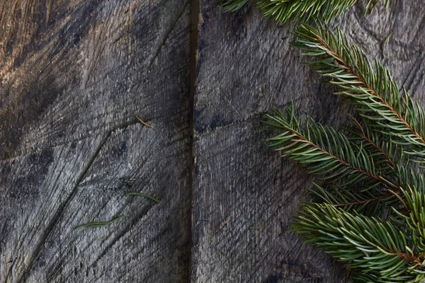 冷杉的枝条上木制背景 — 图库照片
