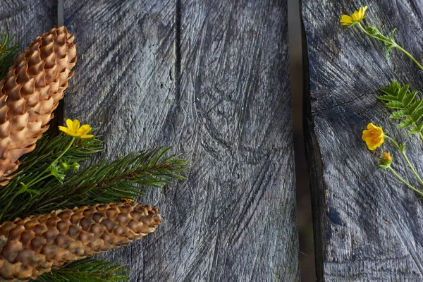 Spar en bloemen op houten achtergrond — Stockfoto