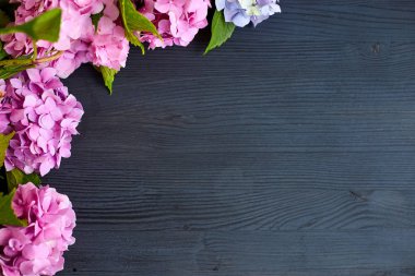 siyah ahşap zemin üzerine ortanca çiçek