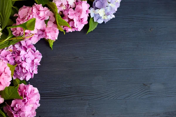 siyah ahşap zemin üzerine ortanca çiçek