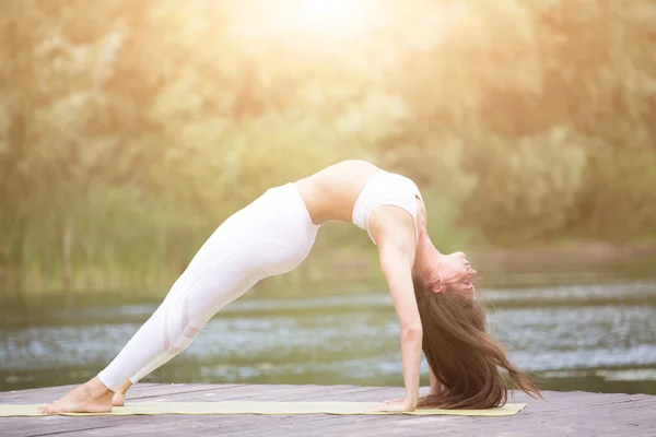 Genç kız uygulamaları yoga göle zevk gizlilik ve konsantrasyon, güneş ışığı kavramı kıyısında