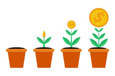 Finansal büyüme dört etap