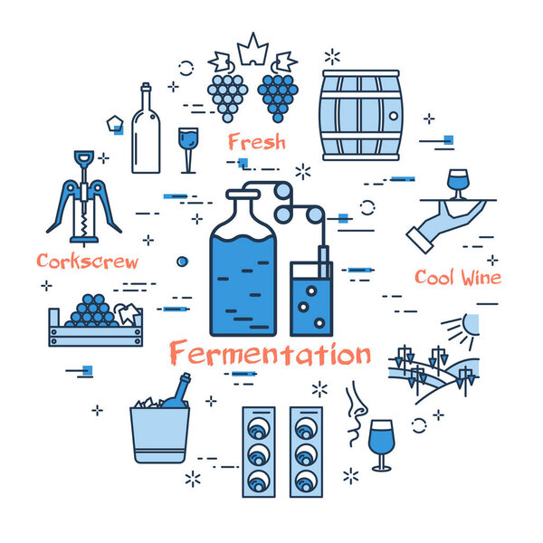 Blue round Fermentation concept