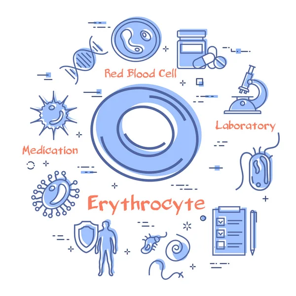 Concept vectoriel de bactéries et de virus - icône érythrocytaire — Image vectorielle