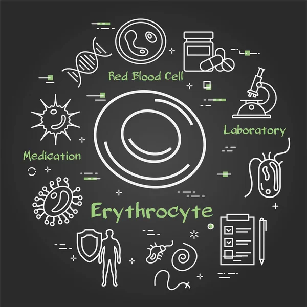 Vector black concept of bacteria and viruses - erythrocyte icon — Διανυσματικό Αρχείο