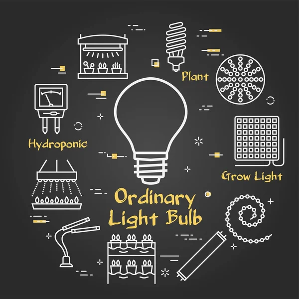 Vektorschwarzes Konzept von hydroponischem und wachstumsgeleitetem Licht - gewöhnliche Glühbirne — Stockvektor