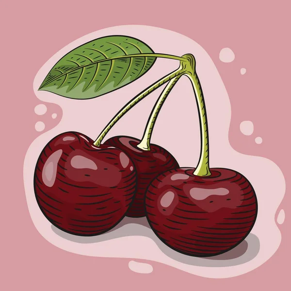 Vektor ilustrasi buah ceri merah terukir - Stok Vektor